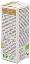 Essence de gingembre