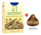 Teinture blonde suédoise Ecotint-Ec10C