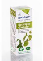 Essence d&#39;Eucalyptus Globule 10 ml Bio