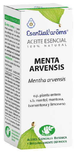 Essence de menthe Arvensis 10 ml