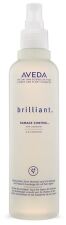 Contrôle brillant des dommages 250 ml