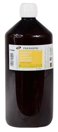 Huile végétale de calophylle biologique