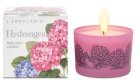 Bougie parfum&eacute;e Hortensia