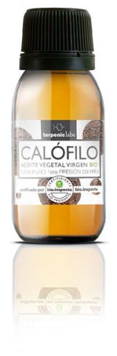 Huile végétale de calophylle