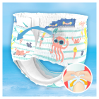Splashers Taille 5 10 unités de 14 kg