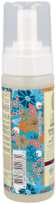 Mousse de moulage Oblepikha 200 ml