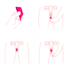 Coupe menstruelle fine Lily Cup