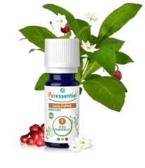 Huile essentielle de gaulthérie couchée 10 ml