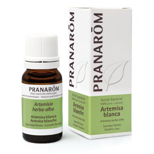 Pranarom Huile Essentielle d'Armoise Blanche 10 ml