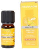 Diffusion Bien &ecirc;tre &agrave; Domicile 10 ml