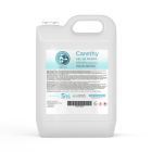 Gel hydroalcoolique 5L