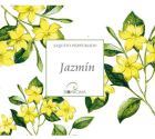 Sachet parfum&eacute; BioAroma 12,5 gr