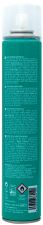 Laque Écologique Extra Forte 400 ml