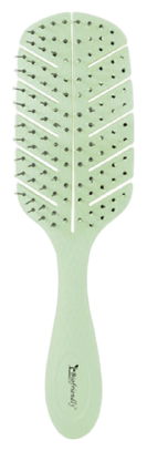 Bifull Brosse Squelette Biod&eacute;gradable Biofriendly