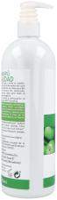 Shampoing vitalité à l'aloe vera et à la pomme 740 ml