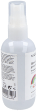 Spray désinfectant pour les mains 100 ml