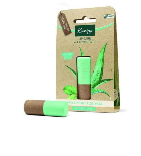 Baume à lèvres Menthe Aloe Vera