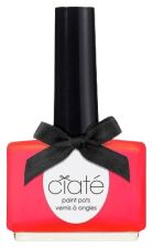 Le vernis à ongles Paint Pot 13,5 ml