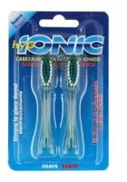 Hyg Gentle Remplacement Ionique 2 Unités