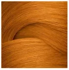 Shades EQ Bonder Inside 3 x 60 ml