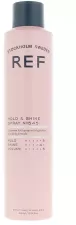 Spray fixateur et brillance n&deg; 545 300 ml